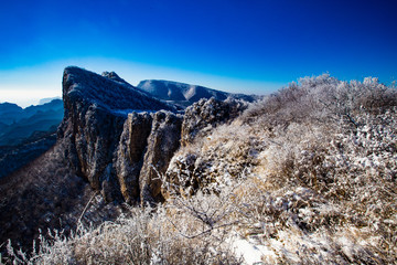 冬日雪景