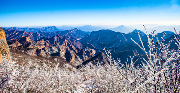 冬日雪景