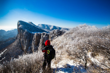 冬日雪景