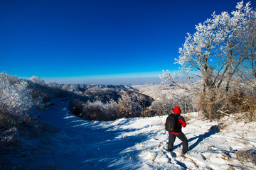 冬日雪景