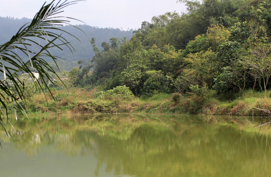 鄉(xiāng)村湖景