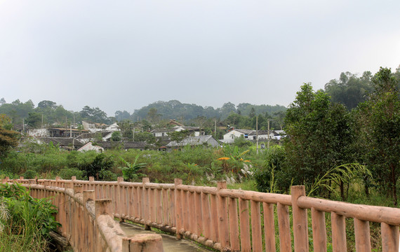 農(nóng)村風(fēng)光