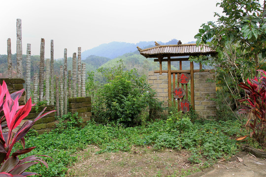 黎族新農村