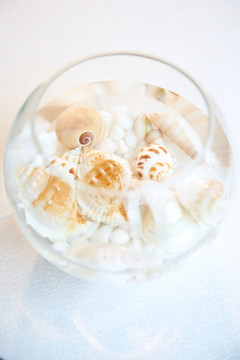 生活 魚缸 生活品質