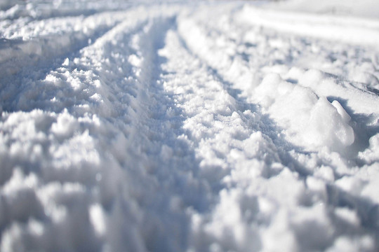 雪地 雪地輪胎印