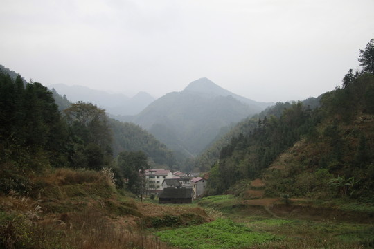 新農(nóng)村