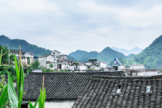 太極湖村景觀