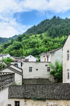 太極湖村景觀