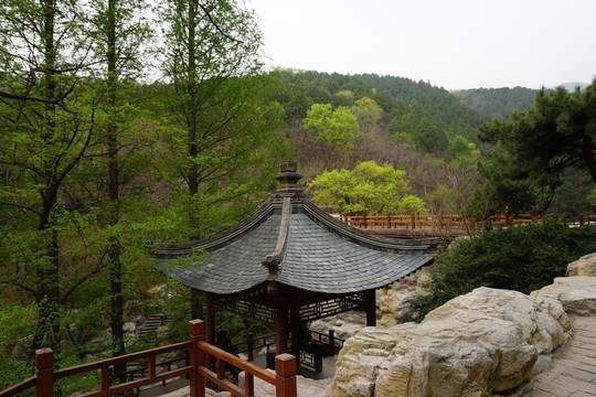 櫻桃溝