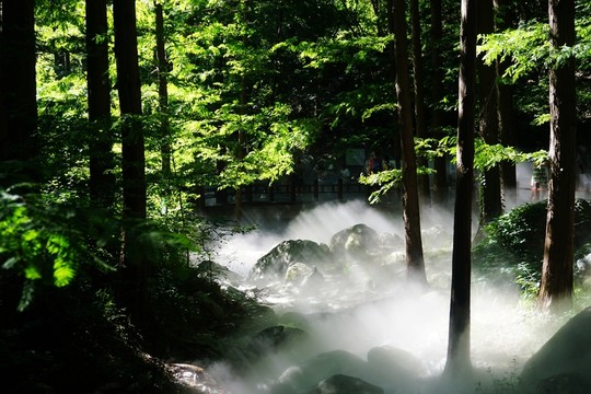 櫻桃溝
