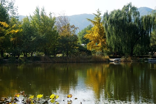 植物園