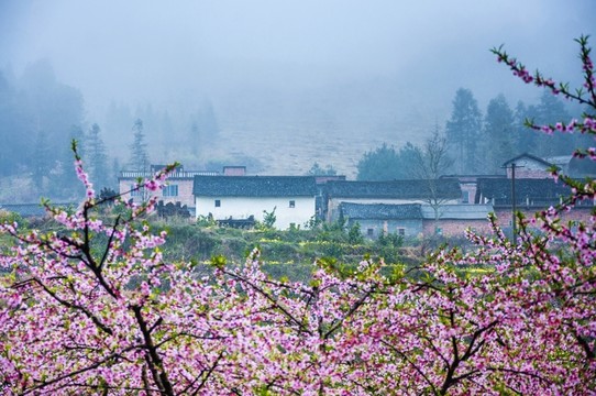 田園春色