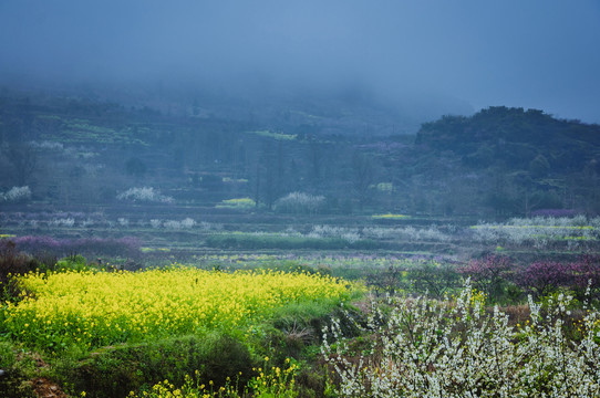 田園春色