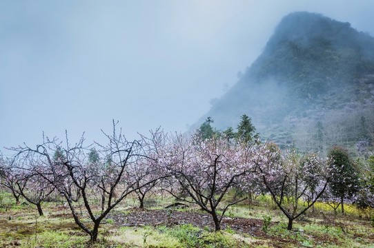 山村春色