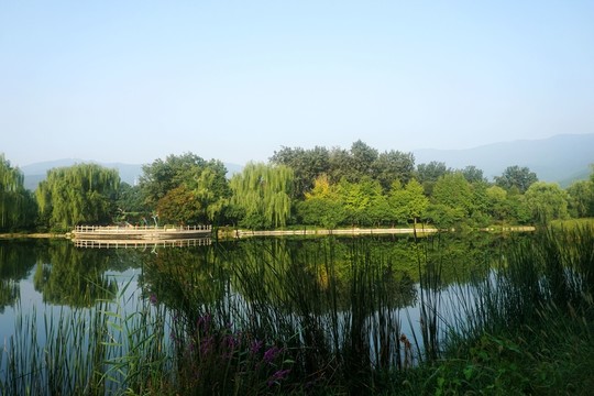 植物園