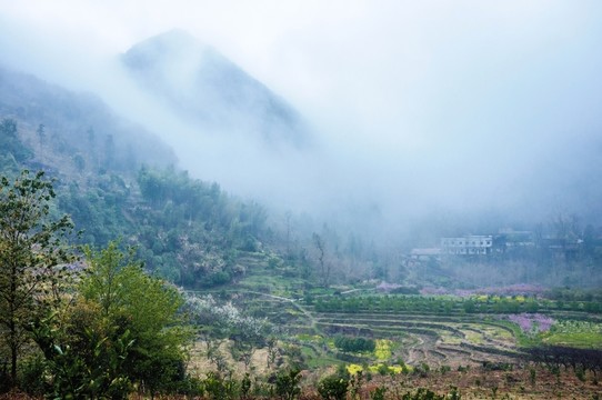 山村春色