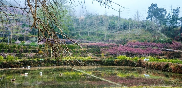山村春色