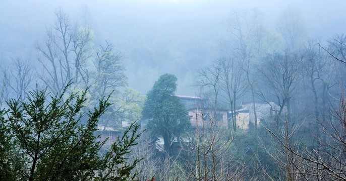 山村春色