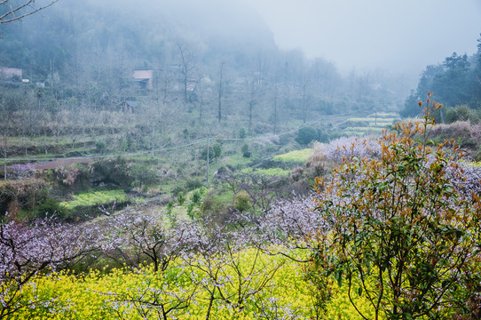 山村春色