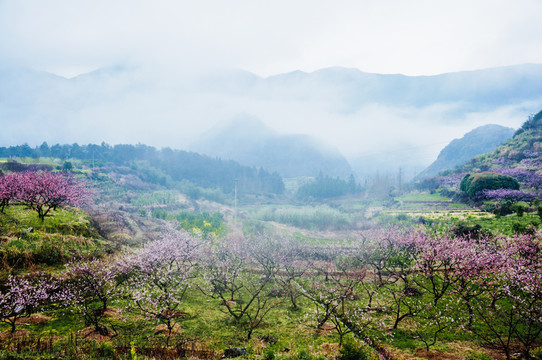山村春色