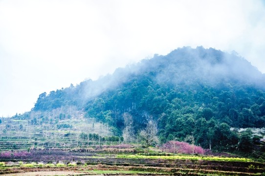 山村春色