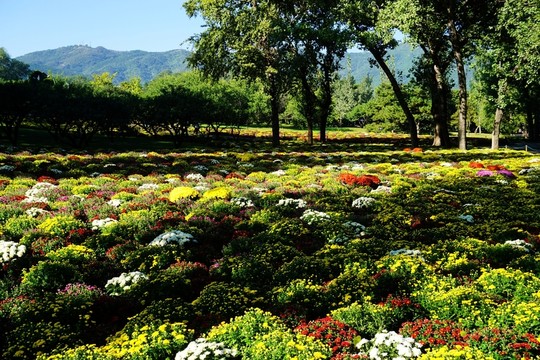 植物園