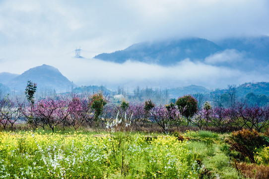 山村春色