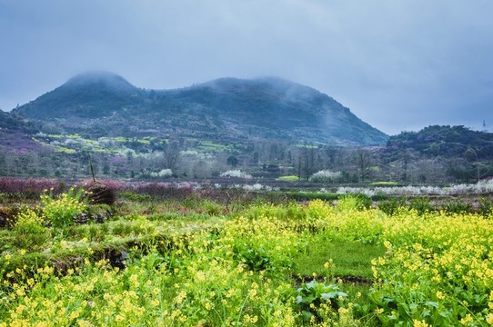 山村春色