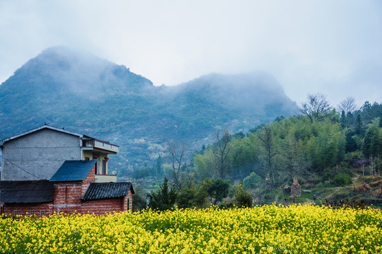 山村早春