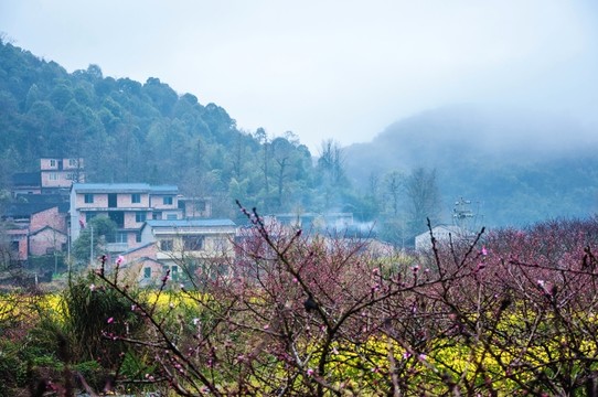山村早春
