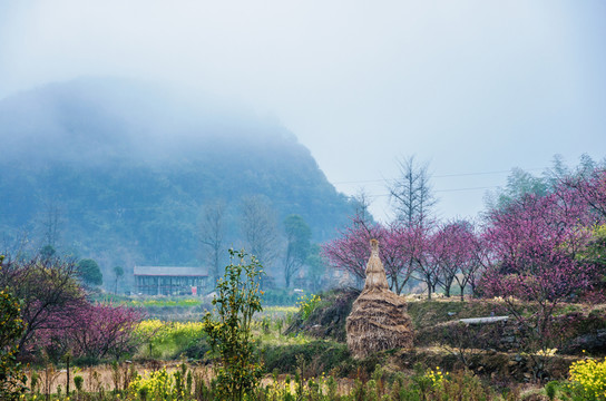 山村早春