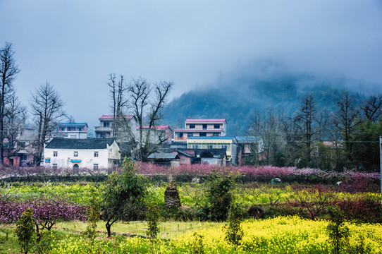 山村早春