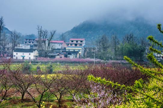 山村早春