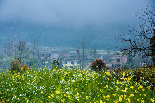 山村早春