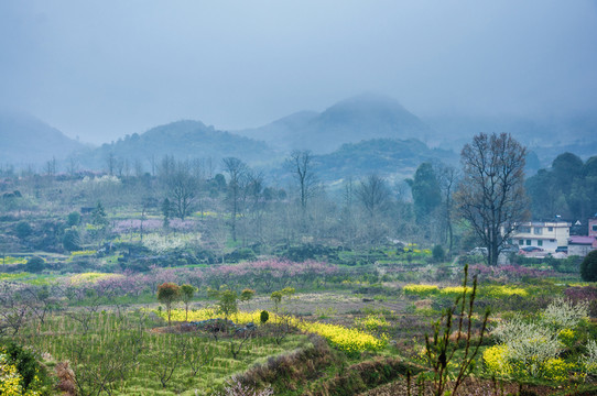 山村早春