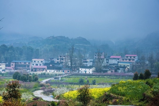 山村早春