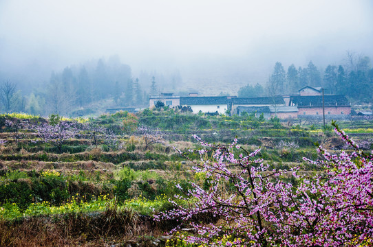 山村早春