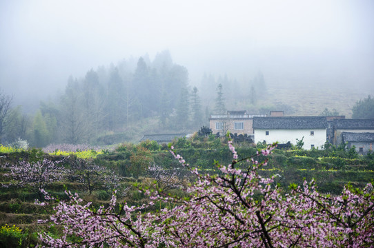 山村早春