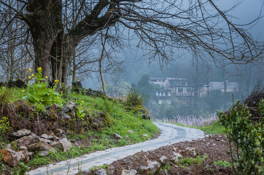 山村早春