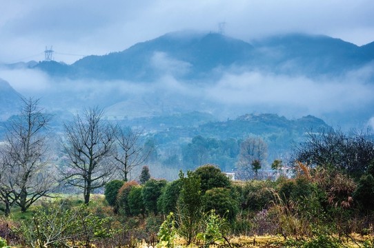 山村早春