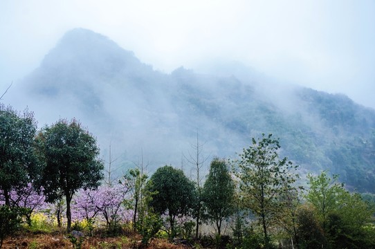 霧色山野
