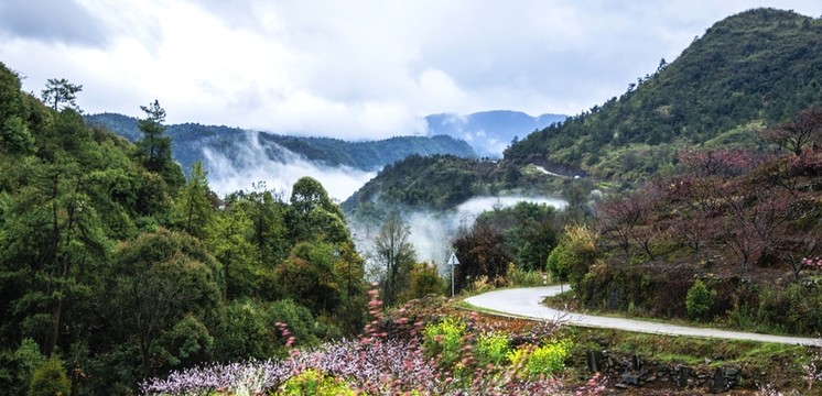 霧色山野