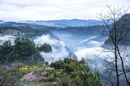 霧色山野