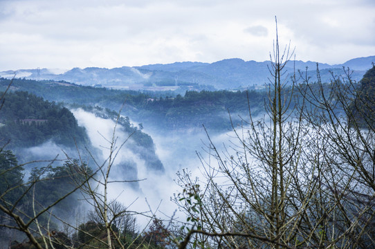 霧色山野