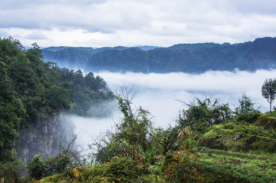 霧色山野