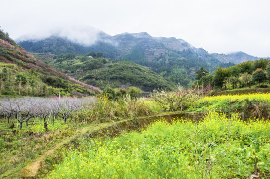 多彩田園