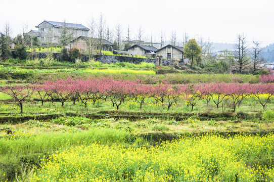 美麗鄉(xiāng)村