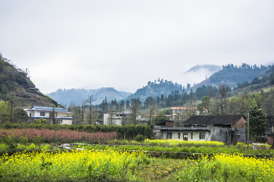 美麗鄉(xiāng)村