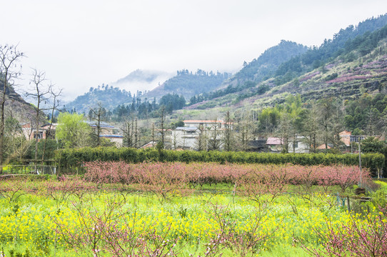美麗鄉(xiāng)村
