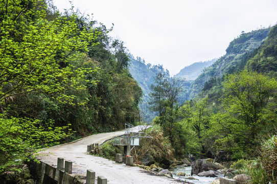 山路彎彎